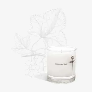 Maison Louis Marie - Antidris Cassis Soy Wax Candle | Luxury Fragrance​s​ for a Modern World (8....