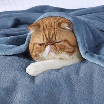 Bedsure Fleece Throw Blanket Washed Blue - 300GSM Blankets for Couch, Sofa, Bed, Soft Lightweight Pl...