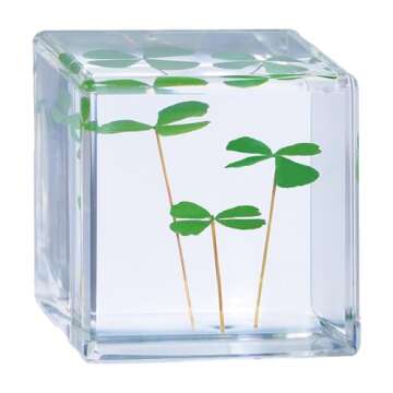 Bon Cube Good Luck Charms Real 4 Leaf Clover 4cm Cube Paperweight, St. Saint Patric's Day Decor Iris...