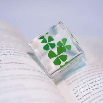 Bon Cube Good Luck Charms Real 4 Leaf Clover 4cm Cube Paperweight, St. Saint Patric's Day Decor Irish Shamrock Good Luck Gift