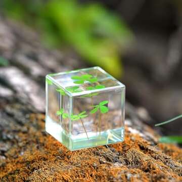 Bon Cube Good Luck Charms Real 4 Leaf Clover 4cm Cube Paperweight, St. Saint Patric's Day Decor Irish Shamrock Good Luck Gift