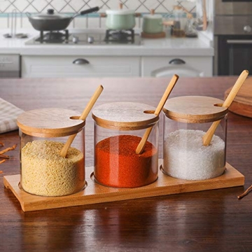 Lawei Set of 3 Stylish Spice Jars with Lids and Spoons