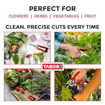 TABOR TOOLS Pruning Shears, Florist Scissors, Multi-Tasking Garden Snips for Arranging Flowers, Trimming Plants and Harvesting Herbs, Fruits or Vegetables. K17A. (Straight, Stainless Steel Blades)