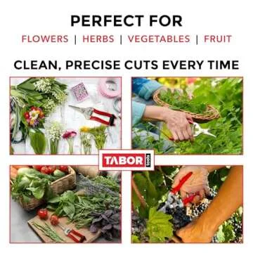 TABOR TOOLS Pruning Shears, Florist Scissors, Multi-Tasking Garden Snips for Arranging Flowers, Trimming Plants and Harvesting Herbs, Fruits or Vegetables. K17A. (Straight, Stainless Steel Blades)