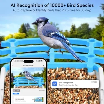 Smart Bird Feeder Camera - AI Species Identification