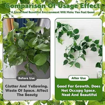 60 Pcs Plant Climbing Wall Clips for Indoor Outdoor Use