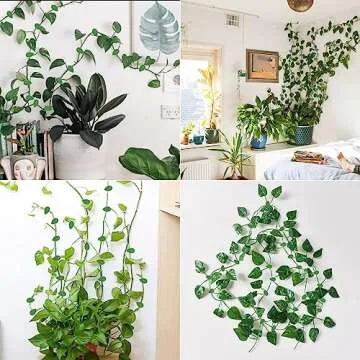 60 Pcs Plant Climbing Wall Clips for Indoor Outdoor Use