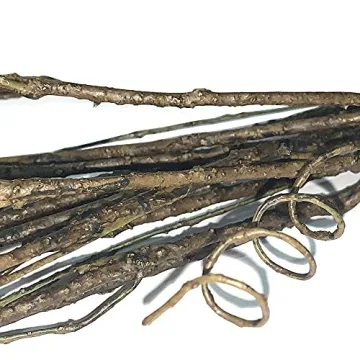 Faux Willow Branches - Versatile Decor for Every Occasion