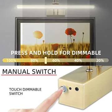 RAIFOOLLY Picture Light,13in Battery Operated Art Lights for Paintings,Remote Display Accent Light with Timer and Dimmable for Wall,Frame, Portrait, Dartboard-Antique Brass