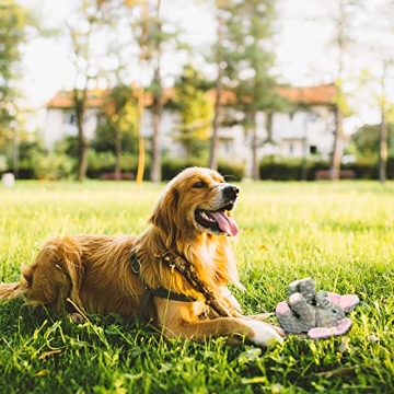 DODODOLA Dog Toy: Squeaky Elephant for Dogs