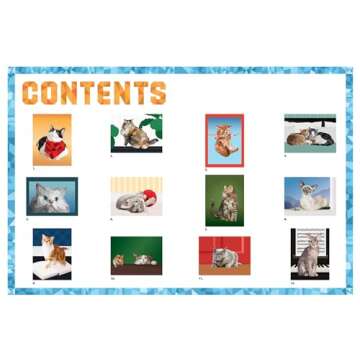 Paint by Sticker: Cats: Create 12 Stunning Images One Sticker at a Time!