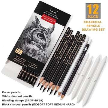 Brusarth Charcoal Drawing Set - 12 Piece Artist Kit with Quality Tools for Drawing and Sketching