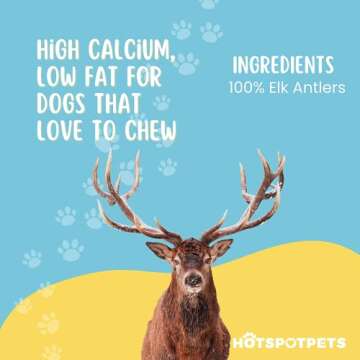 Small Premium Split Elk Antlers for Dogs - 4''-5'' Inch Long Dog Chews (3 Pack) Naturally Shed Antler Bone for Small Breed Aggressive Chewers - Made In USA -Odorless- Promotes Dental Hygiene (3 Pack)