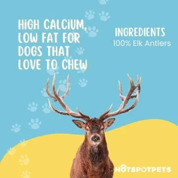 Small Premium Split Elk Antlers for Dogs - 4''-5'' Inch Long Dog Chews (3 Pack) Naturally Shed Antler Bone for Small Breed Aggressive Chewers - Made In USA -Odorless- Promotes Dental Hygiene (3 Pack)