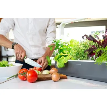 Indoor Herb Garden Kit with Grow Light for Easy Gardening