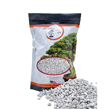 Quality Pumice for Succulents & Cacti | The Bonsai Supply