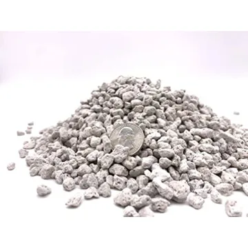 Quality Pumice for Succulents & Cacti | The Bonsai Supply
