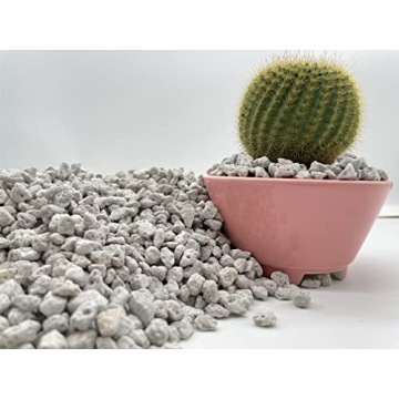 Quality Pumice for Succulents & Cacti | The Bonsai Supply