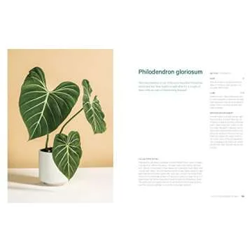 Rare Tropical Houseplants for Home Gardening