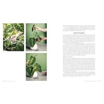 Rare Tropical Houseplants for Home Gardening