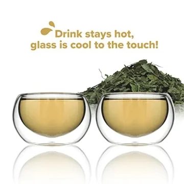 Kitchables Insulated Glass Tea Cups for Hot Beverages