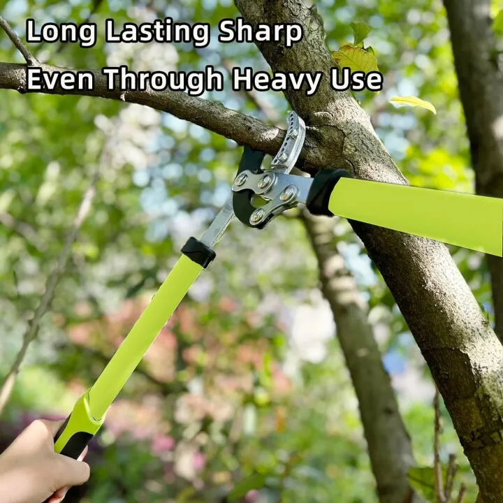 Premium 3PCS Garden Tools Set for Lawn & Shrubs