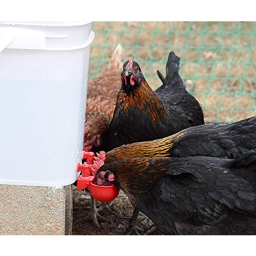 RentaCoop Poultry Water Cup Kit - 7 Total for Easy Hydration