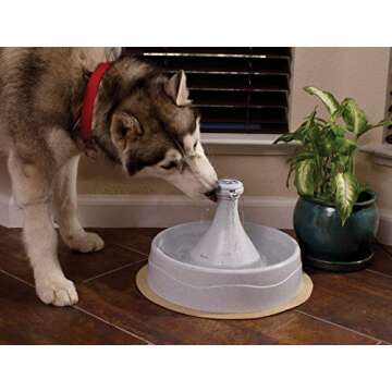 PetSafe Drinkwell 360 Multi Pet Drinking Fountain - Customizable Automatic Water Dispenser for Cats and Dogs - 128 oz Fresh, Filtered Water Capacity for Healthy Pets - Filter Included