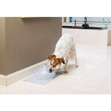 PetSafe Drinkwell 360 Multi Pet Drinking Fountain - Customizable Automatic Water Dispenser for Cats and Dogs - 128 oz Fresh, Filtered Water Capacity for Healthy Pets - Filter Included