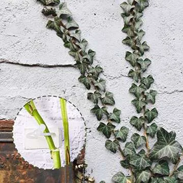 200 Plant Climbing Wall Fixture Clips for Indoor Plants