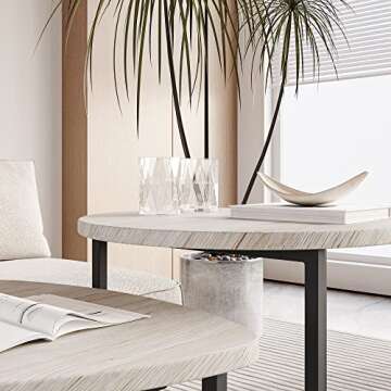 HOJINLINERO Round Coffee Table Set of 2 End Tables for Living Room,Black Small Coffee Table Living Room Table,Metal Frame & Wood Look,Sturdy and Easy Assembly,Stacking Side Tables Bedroom,White