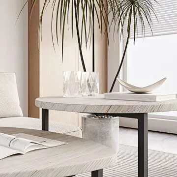 HOJINLINERO Round Coffee Table Set of 2 End Tables for Living Room,Black Small Coffee Table Living Room Table,Metal Frame & Wood Look,Sturdy and Easy Assembly,Stacking Side Tables Bedroom,White