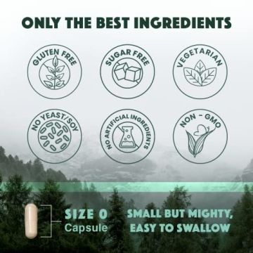 Natural Rhythm Triple Calm Magnesium – 120 Capsules for Sleep