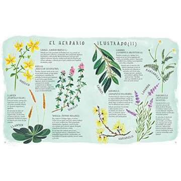 Belleza orgánica: Manual ilustrado de cosmética natural (GGDIY) (Spanish Edition)