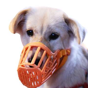 Alfie Pet - Paxton Adjustable Quick Fit Plastic Muzzle - Color: Orange, Size: Small