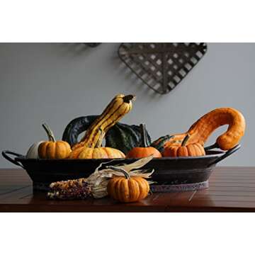 Urban Legacy Large Black Oval Serving/Decorative Metal Tray