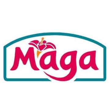 MAZAMORRA (Tender Corn and Coconut Cream Cereal) by Maga Foods Puerto Rico - 12 oz (Count of 2)