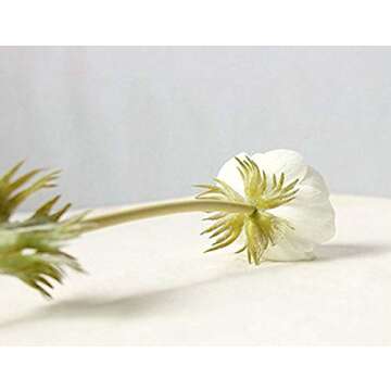 CN-Culture 10Pcs Artifical Real Touch PU Anemone Flower Bouquet Room Home Decor (White)
