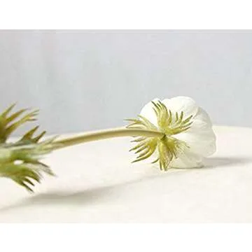 CN-Culture 10Pcs Artifical Real Touch PU Anemone Flower Bouquet Room Home Decor (White)