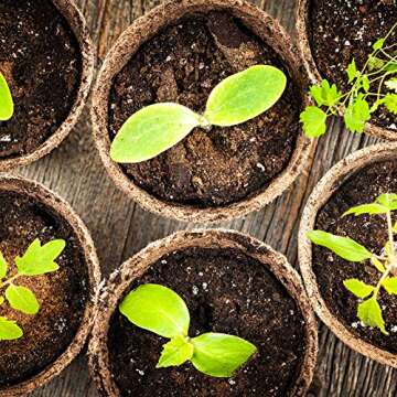 FDGARDEN Biodegradable Peat Pots for Seedlings - 100 Pack Plant Seed Starter Kit