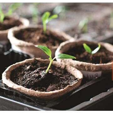 Biodegradable Peat Pots for Seedlings - 100 Pack Kit