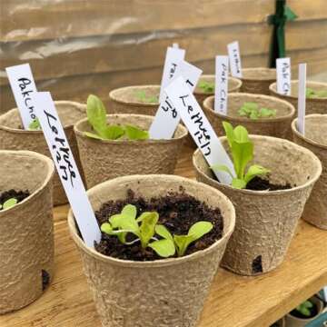 Dalzom® 60Pcs 3.1” Peat Pots with 60Pcs Plant Labels, Biodegradable Pots for Seedlings with Drainage Holes, Garden Plant Nursery Pots Seed Starting Trays