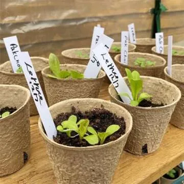 Dalzom® 60Pcs 3.1” Peat Pots with 60Pcs Plant Labels, Biodegradable Pots for Seedlings with Drainage Holes, Garden Plant Nursery Pots Seed Starting Trays