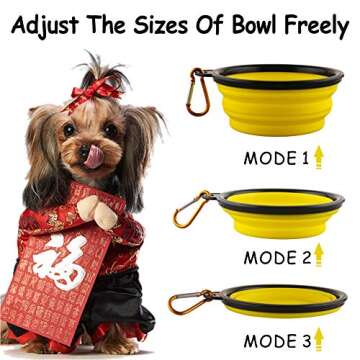Kathy Collapsible Dog Bowl Set - Travel Feeding Solution