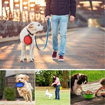 Kathy Collapsible Dog Bowl Set - Travel Feeding Solution