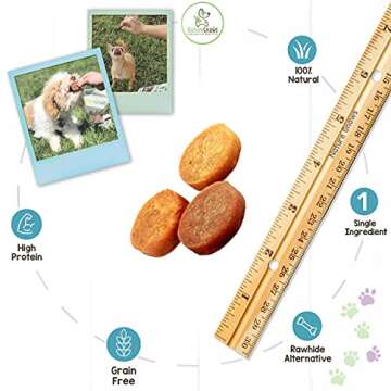 Nature Gnaws Salmon Treats for Dogs - Fish and Sweet Potato Chew Treats - Simple Natural Delicious Dog Chews - Tasty Training Reward