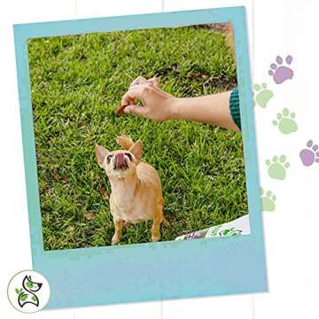 Nature Gnaws Salmon Treats for Dogs - Fish and Sweet Potato Chew Treats - Simple Natural Delicious Dog Chews - Tasty Training Reward