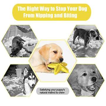 Interactive Starfish Dog Chew Toy for Dental Care