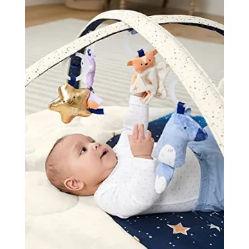 Skip Hop Celestial Dreams Tummy Time Mat 3-in-1 Gym