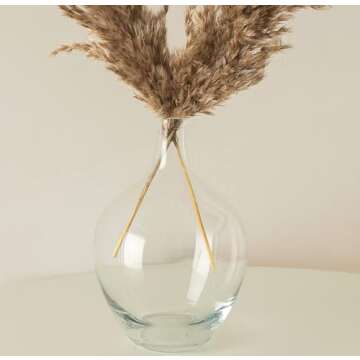 Clear Glass Vase for Pampas Grass Flowers Clear Vase for Decor Small Glass Vase for Dining Table Centerpiece Decorative Vase for Living Room Home Decor Shelf Decor Glass Demijohn 7.9 inch Tall